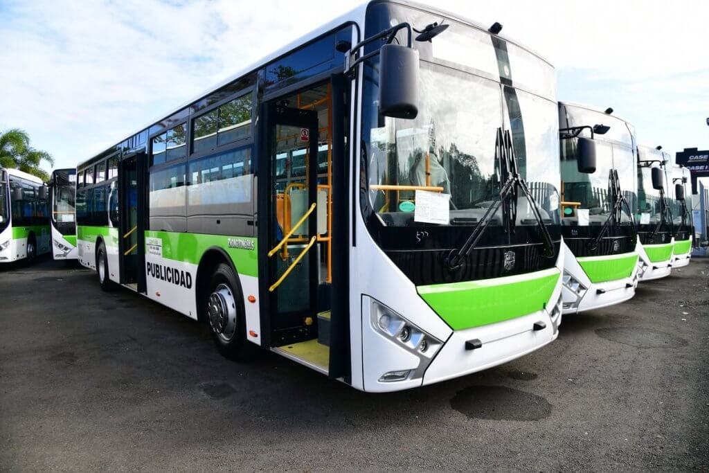 Varios autobuses blancos y verdes estacionados en fila.