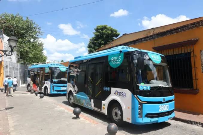Dos autobuses eléctricos compactos del servicio Cultural en una calle de la Ciudad Colonial.